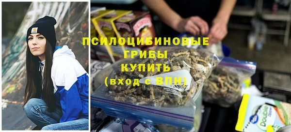 mix Алексин