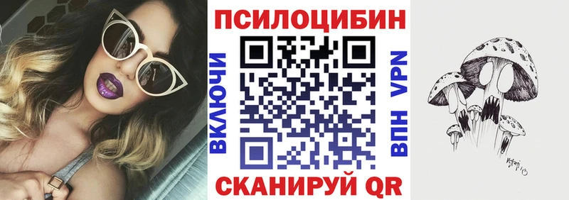 где найти наркотики  Амурск  Псилоцибиновые грибы Psilocybine cubensis 